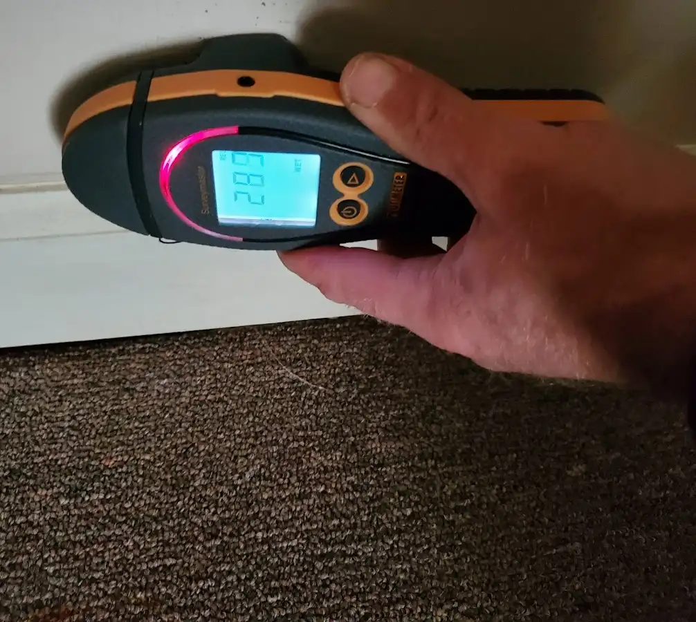 Moisture detection at baseboard during Sewage Cleanup & Sanitation in Hamburg